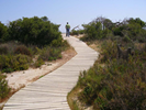 Walkway towards Playa de la Torre Derribada on Mediterenean